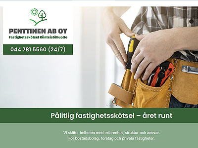 Webbsida Hemsida WordPress Optimerad Pris Webbdesign F Penttinen